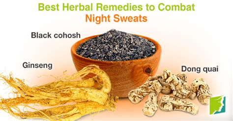Best Herbal Remedies To Combat Night Sweats Night Sweats Herbal