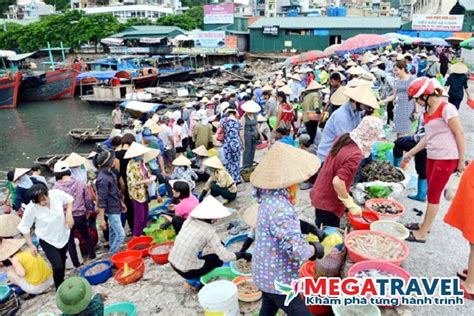 Top 6 Chợ Hải Sản Giá Rẻ Chất Lượng Nhất Hạ Long Megatravel Kênh