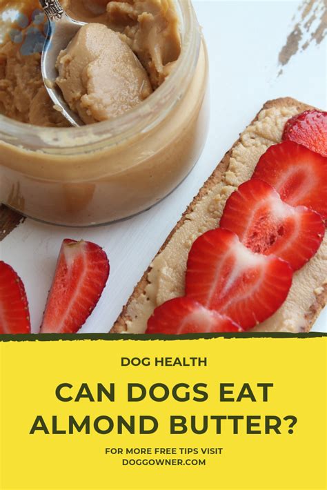 In addition to onions, garlic, which is 5 times as potent. Can Dogs Eat Almond Butter? | Dog food recipes, Food, Can ...
