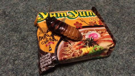 Umai crate is the premiere japanese ramen subscription box straight from tokyo including recipes, spices and more. Cockroach on a packet of Japanese Chicken Ramen - YouTube