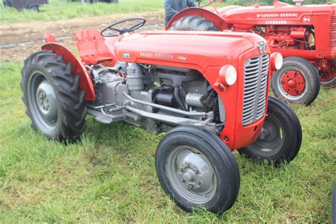 Image Massey Ferguson 35 Mf 835 Dv Vineyard Sn 26695 At Scammell