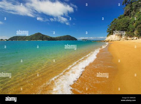 Spiaggia Di Sabbia Di Mare Di Tasman Nuova Zelanda Isola Meridionale
