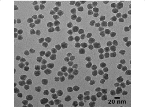 Tem Microscopy Of Silica Nanoparticles Ranging Size Of 20 Nm ± 4 Nm