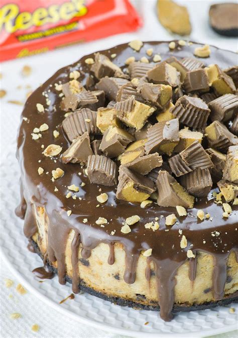 The Most Satisfying Reese Peanut Butter Cheesecake Recipe Easy