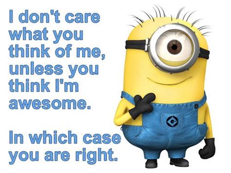 I Dont Care What You Think Of Me Unless You Think Im Awesome In