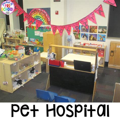 Vet Animal Hospital Dramatic Play Pocket Of Preschool