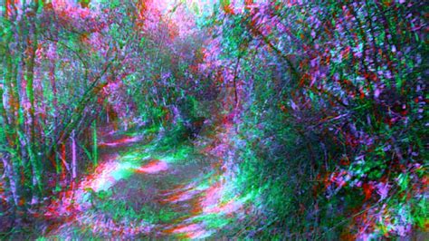 Trippy Forest Wallpapers Wallpaper Cave