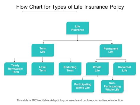 Flow Chart For Types Of Life Insurance Policy Ppt Powerpoint