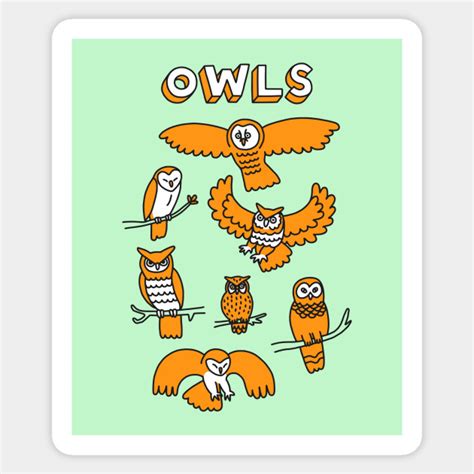 Owls Cute Sticker Teepublic