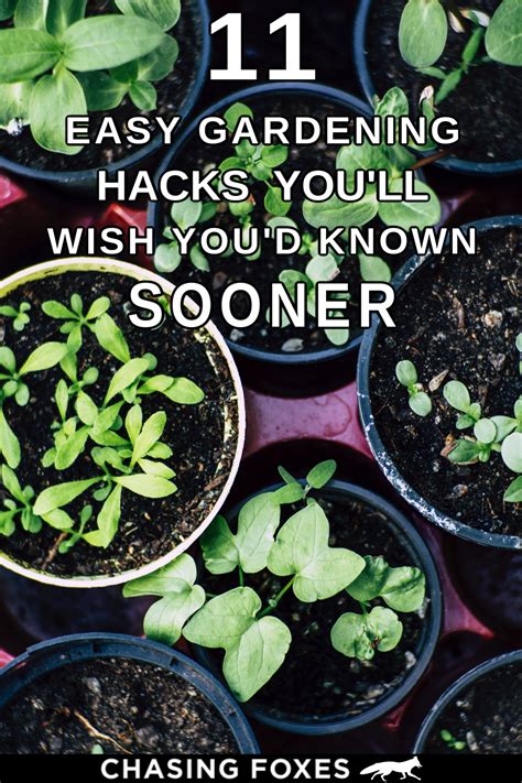 11 Easy Gardening Hacks And Tips Youll Wish Youd Known Sooner Easy
