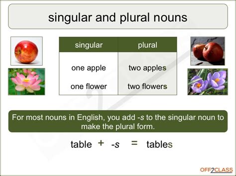 2nd Grade Singular And Plural Pronouns Worksheets Subject And Object