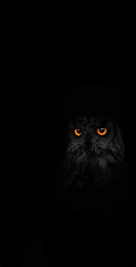 Dark Owl Wallpapers Wallpaper Cave