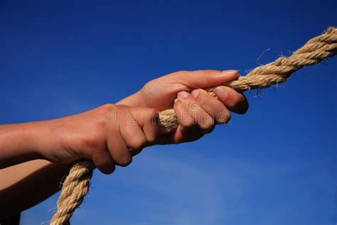 Hands Pulling On Rope Stock Photo Image Of Sisal Team 6716924