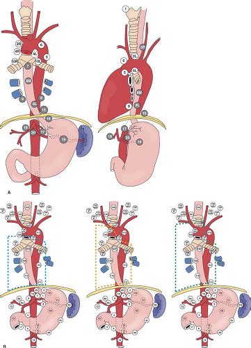 As rgea is the primary source of blood supply of the gastric conduit (1), the unavailability of rgea disallows. Esophagogastrectomy for Carcinoma of the Esophagus ...