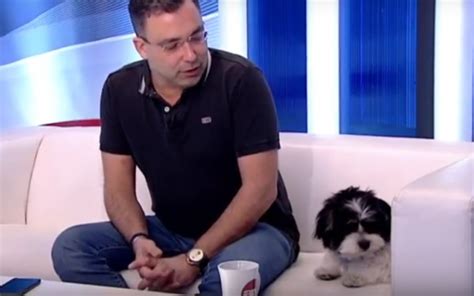 A sváby andrás által gründolt videoklinika.hu egészségportált oroszok koppintották le, a kinézet és az oldal profilja is szinte teljesen megegyezik a magyar eredetivel. Mindenhová követi Svábyt - Kutyabarát életmód magazin ...