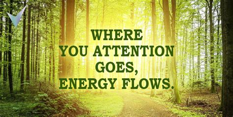 Where You Attention Goes, Energy Flows | Inspirational Quotes, Veeroes