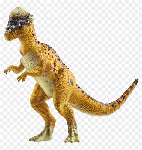 Jurassic World Park 12 Velociraptor Red Raptor Dinosaur Dinosaur With Ball On Head Hd Png