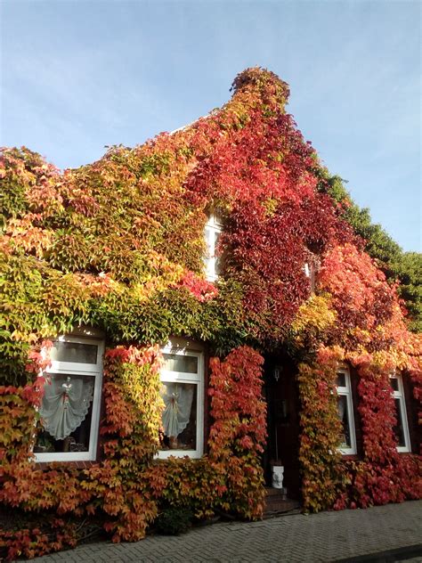 Das „bunte haus ist ein ort, wo schwer erfüllbar scheinende wünsche realität werden können. Das bunte Haus