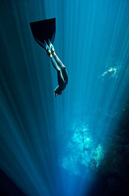 One Ocean One Breath Freediving Photography Underwater World