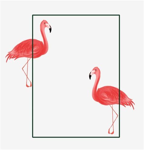 Summer Flamingo Hand Drawn Illustration Simple Border Summer Flamingo