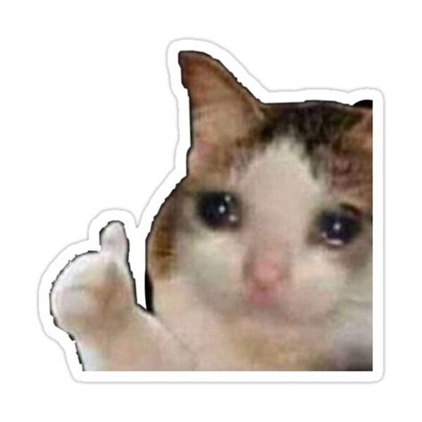 sad cat meme sticker