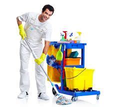 Special Touch Cleaning Franchise Low Cost Cleaning Franchise Clean