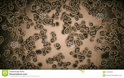 Viruses Attacking Cells Or Bacterias Under Microscope Stock Photo