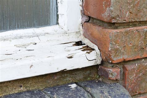 How To Replace Rotted Wood Around A Window Upgraded Home