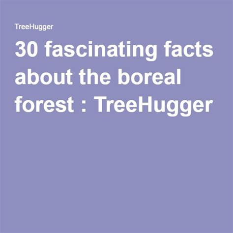 30 Fascinating Facts About The Boreal Forest Boreal Forest Fun Facts
