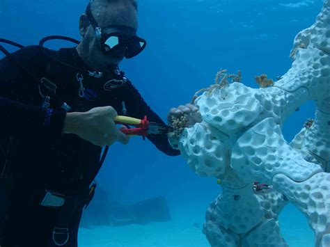 3d Printing Coral Reefs Can Create New Habitat But It Doesnt Tackle
