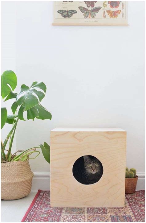 Provide shelter to outdoor cats, whether feral or stray to keep them warm in the winter. 52+ DIY Outdoor Cat House Ideas For Winters And Summer