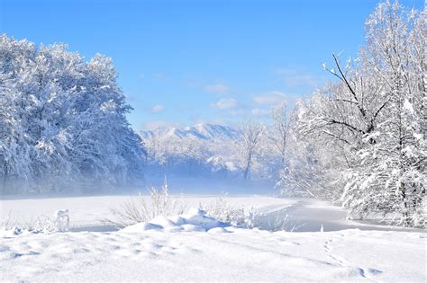 Fondos De Pantalla Paisaje Profundidad De Campo Invierno Frío