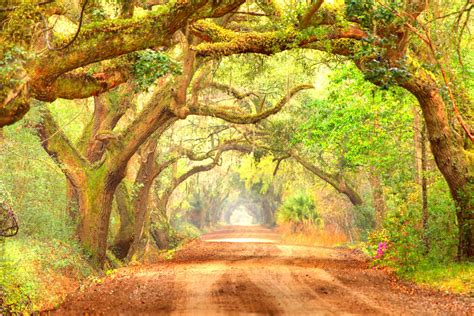 25 Best Things To Do In Edisto Beach Lost In The Carolinas