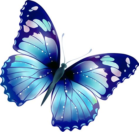 Large Blue Butterfly Clipart 20 Free Cliparts Download Images On