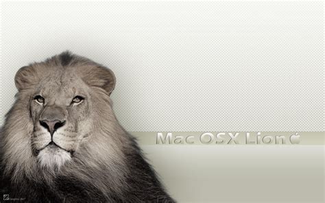 Wallpaper Mac Osx Lion By Macuser64 On Deviantart