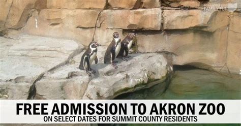 Free Admission To Akron Zoo For Summit County Residents