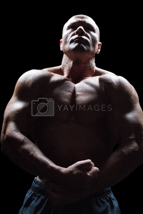Bodybuilder Looking Up While Flexing Muscles By Wavebreakmedia Vectors And Illustrations With