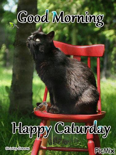 May your life overflow with love, joy, and happiness. Good morning, happy Saturday - PicMix