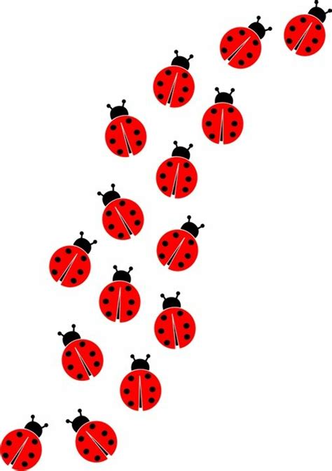 Download High Quality Ladybug Clipart Border Transparent Png Images