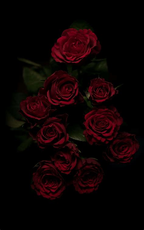 Red And Black Aesthetic Roses Wallpapers Wallpaper Cave