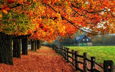 Fall Autumn Wallpaper 60 Pictures