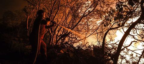 Orman Yangınları ve Sonrası Doğruluk Payı