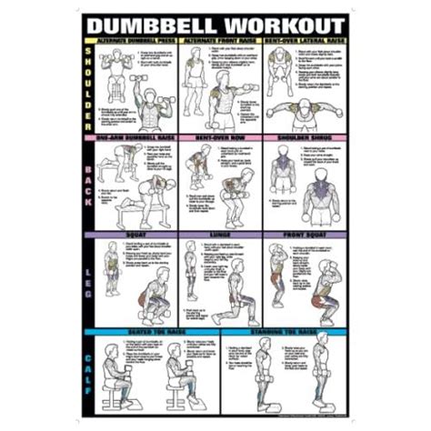 dumbbell workout ii 24 x 36 laminated chart shoulder back leg and calf