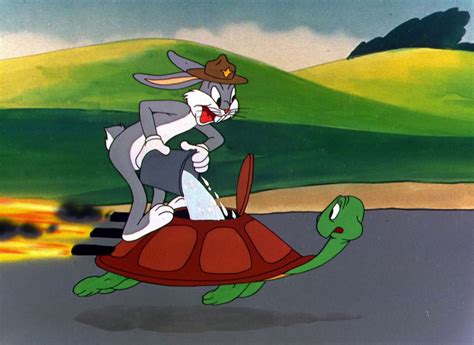 Looney Tunes Pictures Rabbit Transit