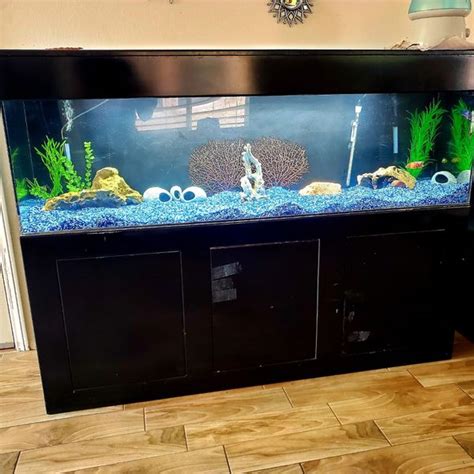 150 Gallon Fish Tank For Sale In Las Vegas Nv Offerup