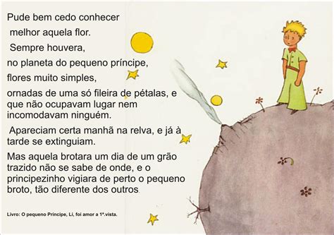 Livro Pequeno Principe Sinopse