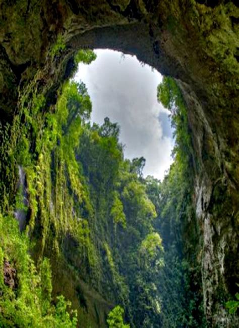 El Yunque National Forest Puerto Rico El Yunque Rainforest El