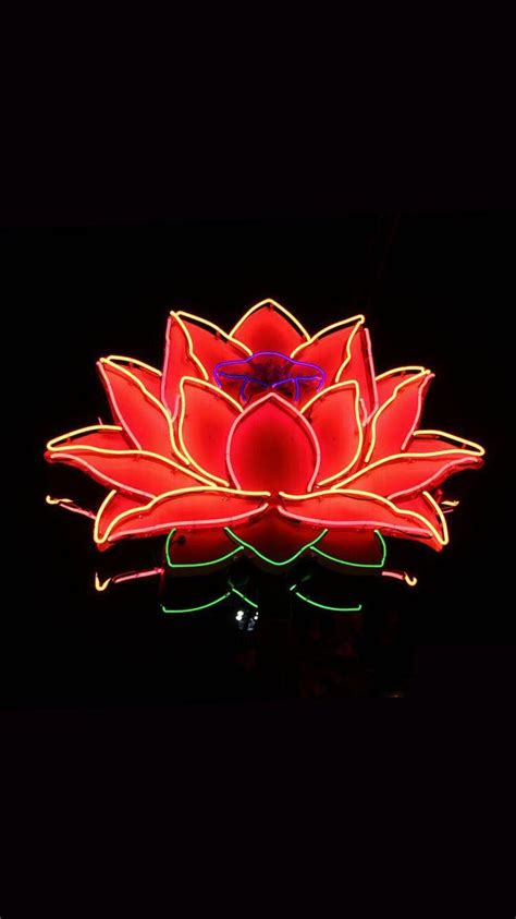 Neon Lotus Flower Wallpapers Top Free Neon Lotus Flower Backgrounds
