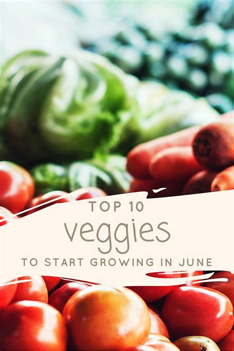 Top 10 Veggies To Start Growing In June Veggies