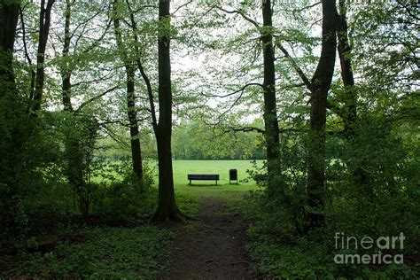 at the park photograph by sara meijer fine art america